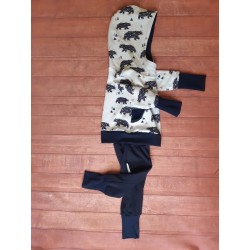 Ensemble Ours